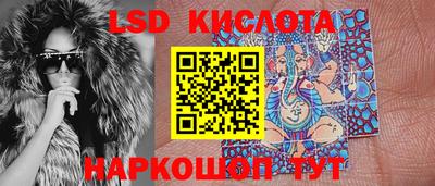 Альфа ПВП Кандалакша
