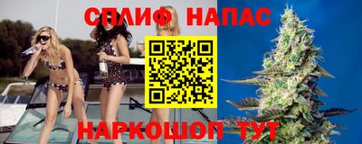 прущие крисы Камышлов