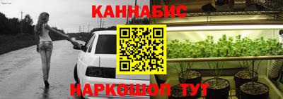 прущие крисы Камышлов