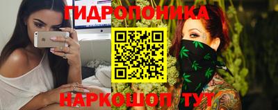 Альфа ПВП Кандалакша