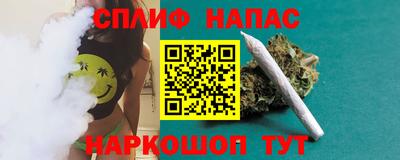 прущие крисы Камышлов