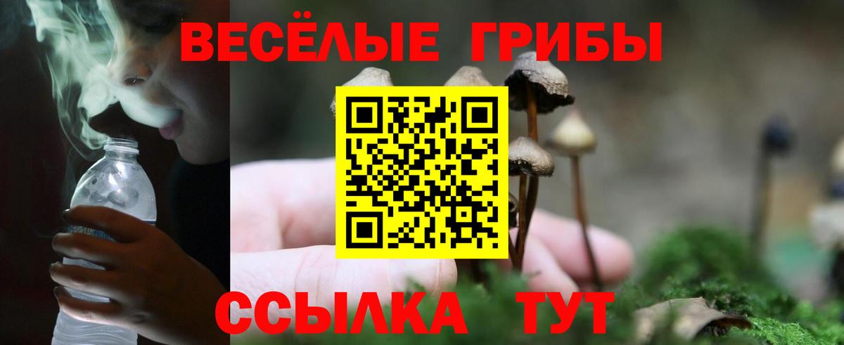 Зеленогорск  Галлюциногенные грибы Magic Shrooms  Вход с VPN  Псилоцибиновые грибы мицелий 